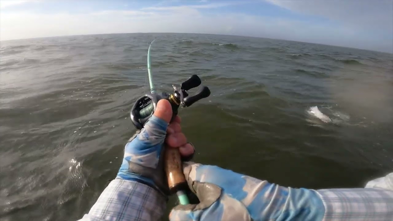 Chandeleur Islands Top Water Speckled Trout