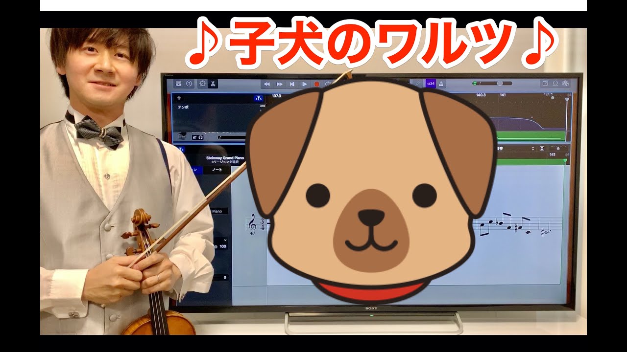 ショパン 子犬のワルツをヴァイオリンで演奏してみた Chopin Minute Waltz Violin Cover