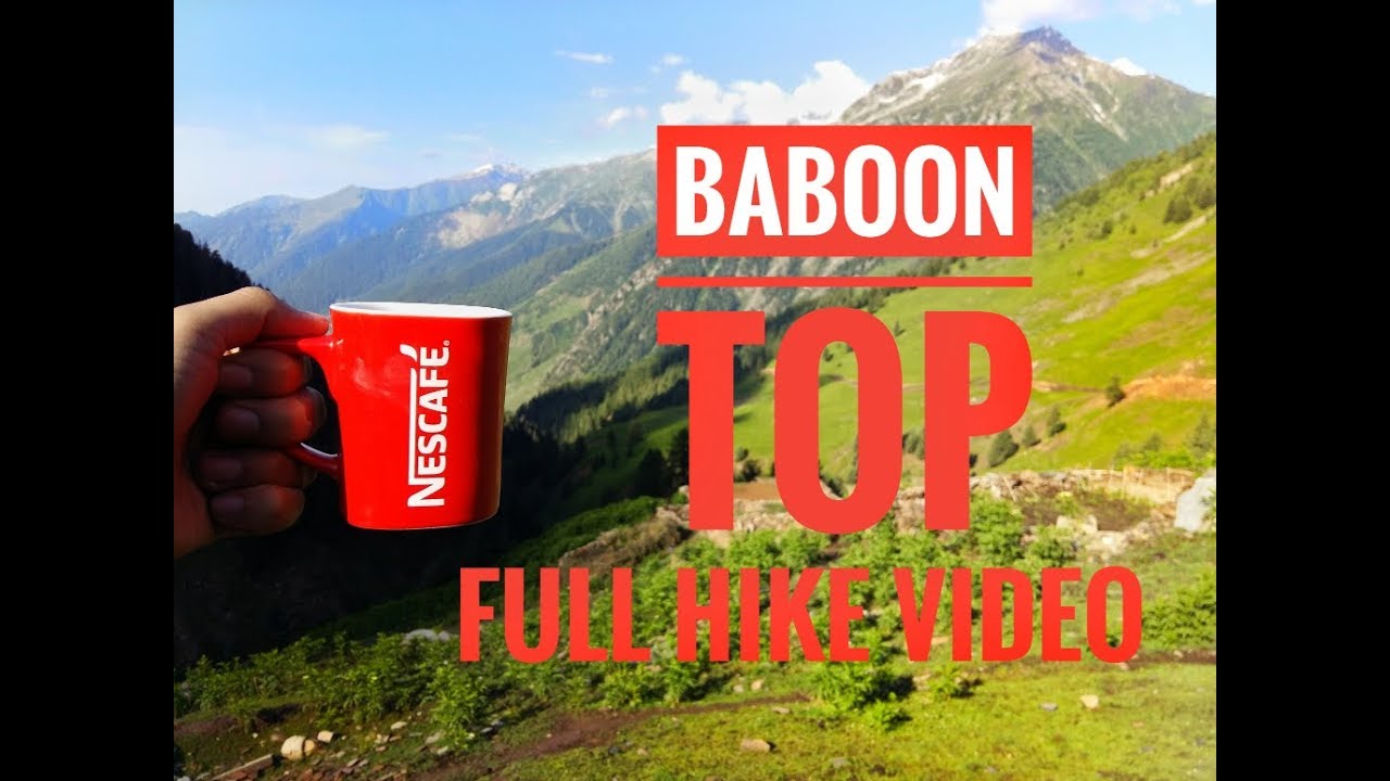 Baboon Top