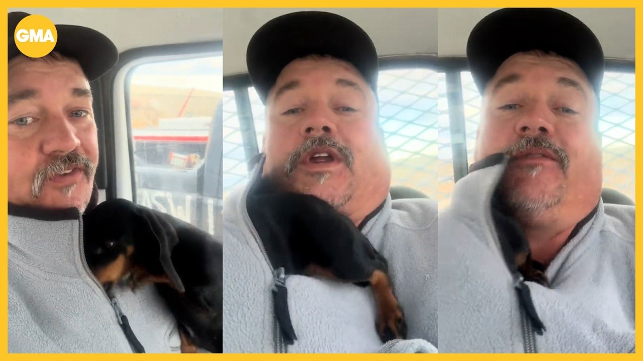 The adorable reason why dog loves to climb into dad's sweater