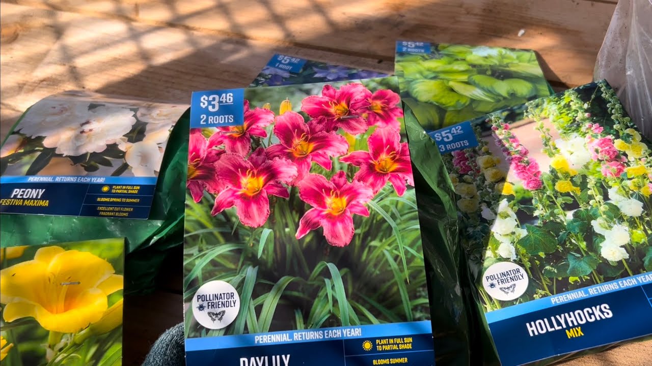 All About Bare Root Plants In Bags! 🪴