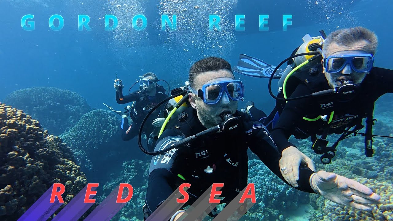 RED SEA-SHARM EL SHEİKH GORDON REEF SCUBA DİVİNG DJI ACTİON 5 PRO