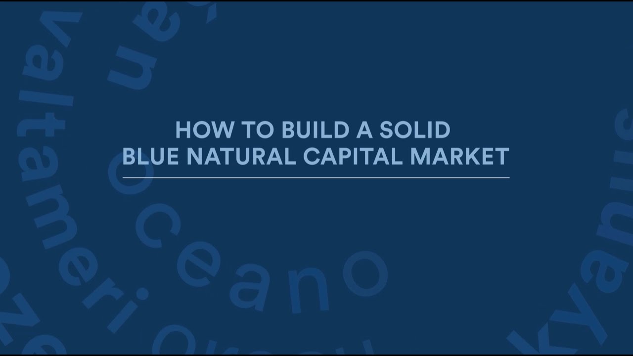 How to build a solid Blue Natural Capital Market | Blue Economy Summit 2024