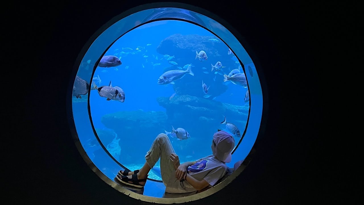 Palma Aquarium