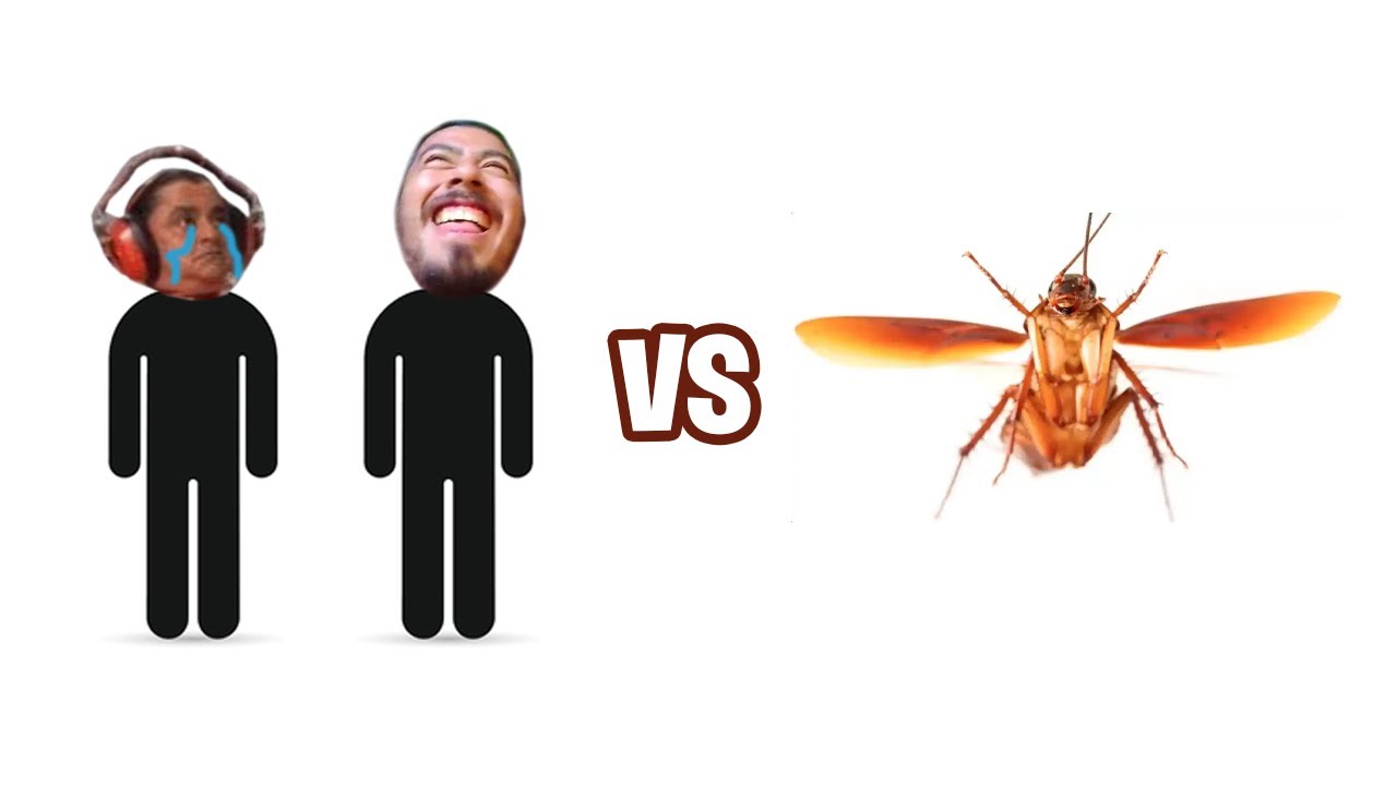 2 hombres vs 1 Cucaracha VOLADORA
