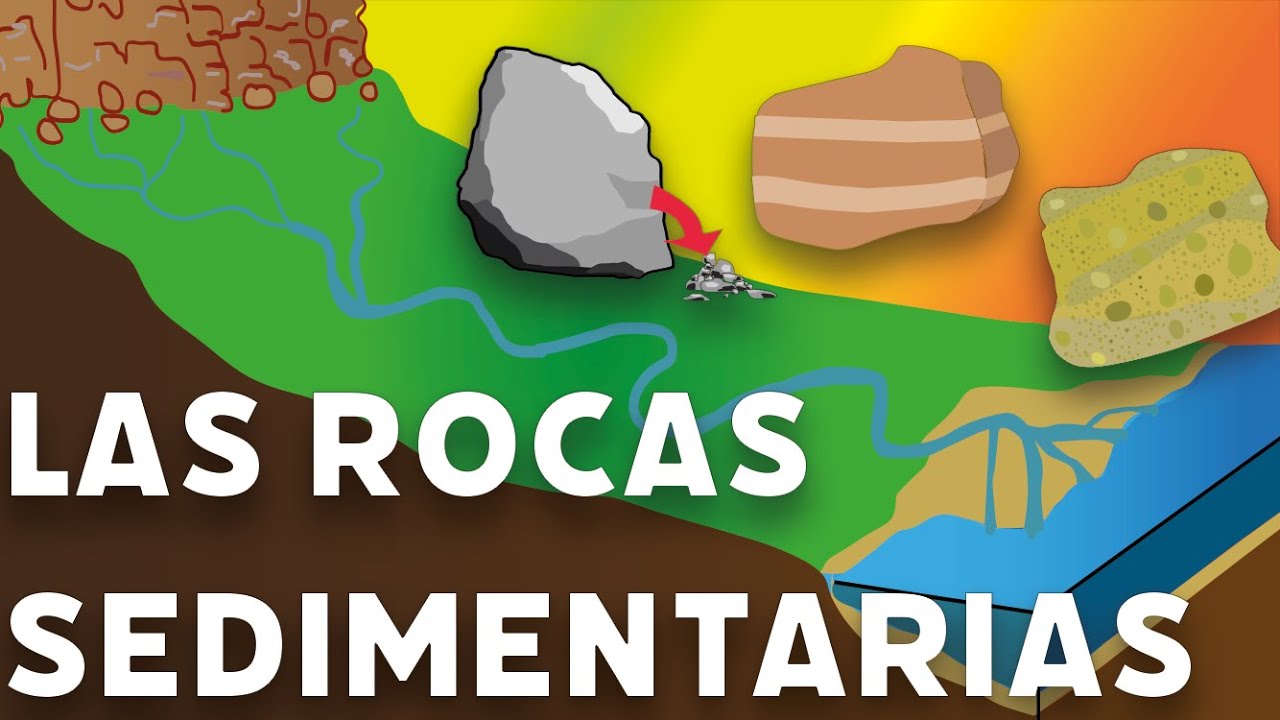 Las rocas sedimentarias. #videolecci&oacute;n 1&ordm; de eso