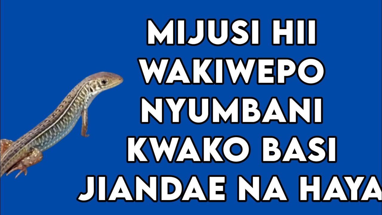 MIJUSI HII WAKIWEPO NYUMBANI KWAKO BASI JIANDAE NA HAYA
