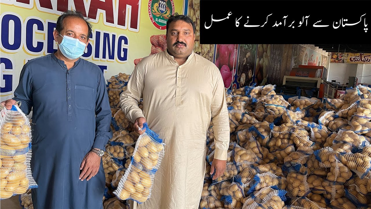 Potato Washing And Exporting Process - Potato Washing Plant