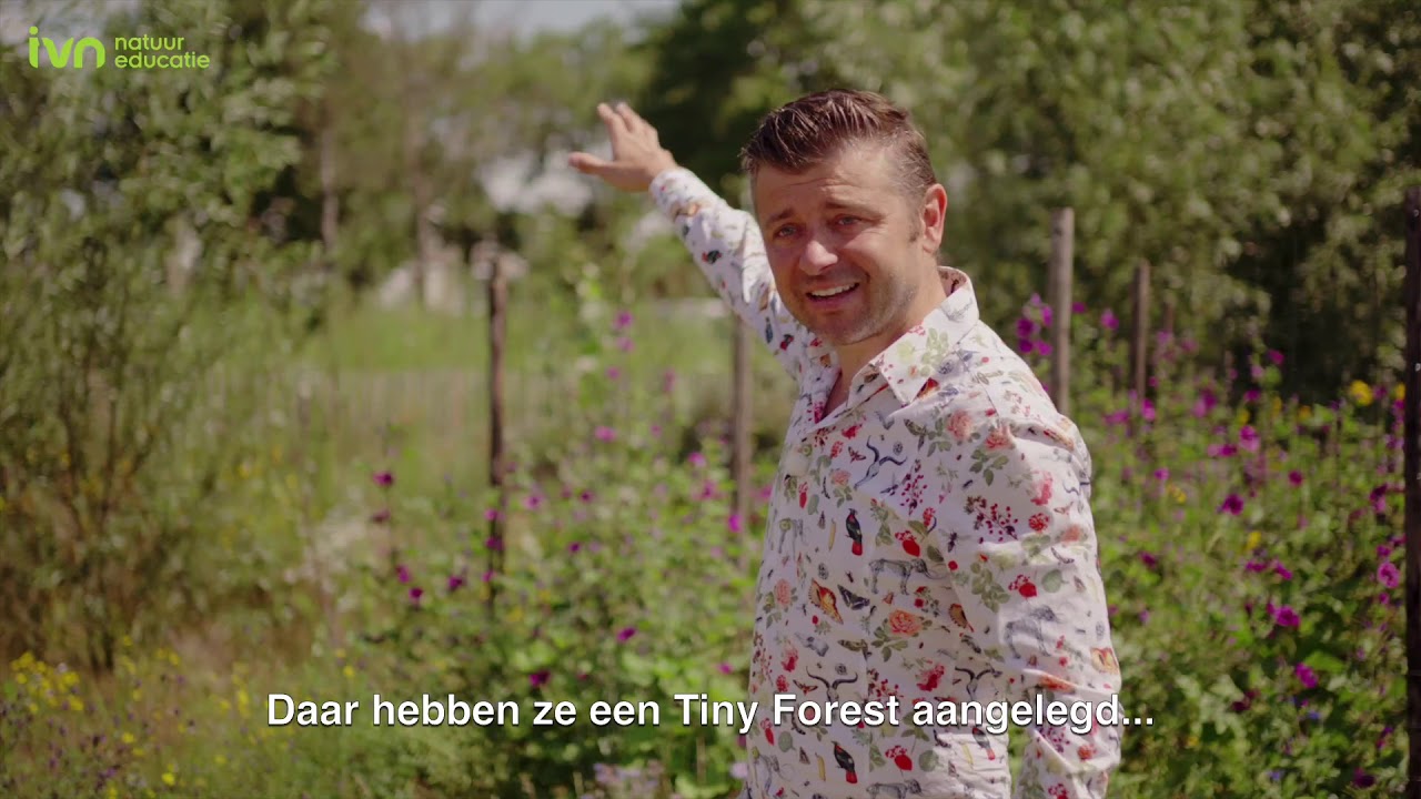 Tiny Forest Weert