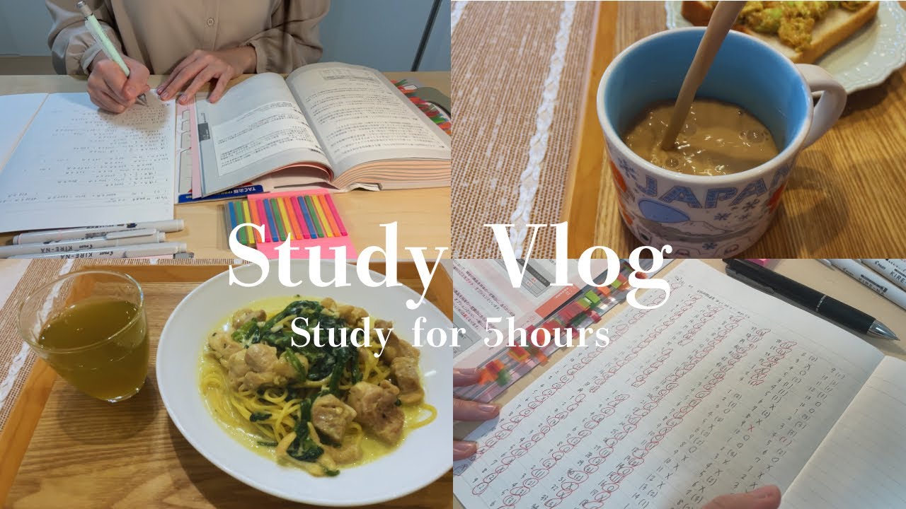 Study Vlog)資格勉強に集中して取り組んだ日📚/FP/資格勉強