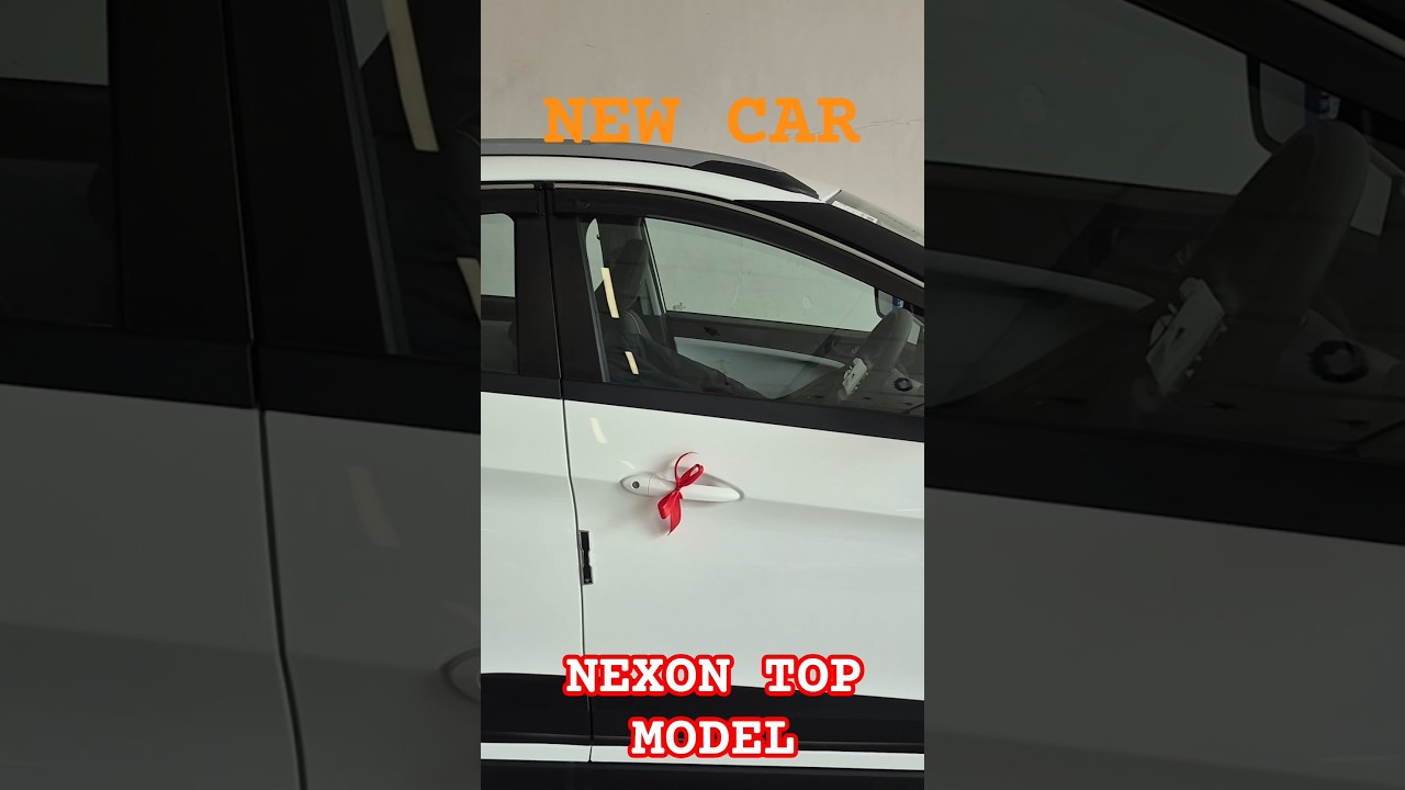 NEXON TOP MODEL 