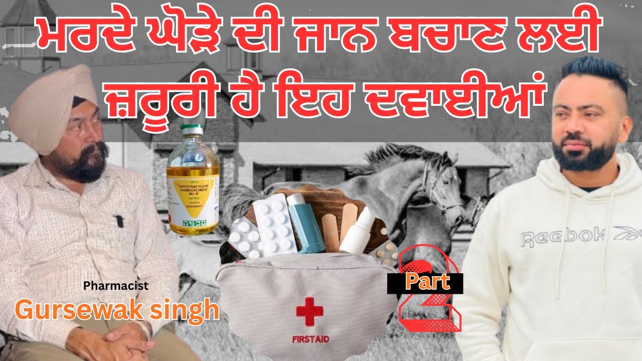 ਮਰਦੇ ਘੋੜੇ ਦੀ ਜਾਨ ਬਚਾਣ ਲਈ ਜ਼ਰੂਰੀ ਹੈ ਇਹ ਦਵਾਈਆਂ ਅੱਜ ਹੀ ਫਾਰਮ ਤੇ ਲਿਅਓ । ਘੋੜਿਆਂ ਤੋਂ ਲੱਗਣ ਵਾਲੀ ਭਿਆਨਕ ਬਿਮਾਰੀ