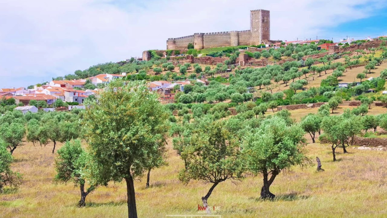 Portel Rosa Branca Desmaiada