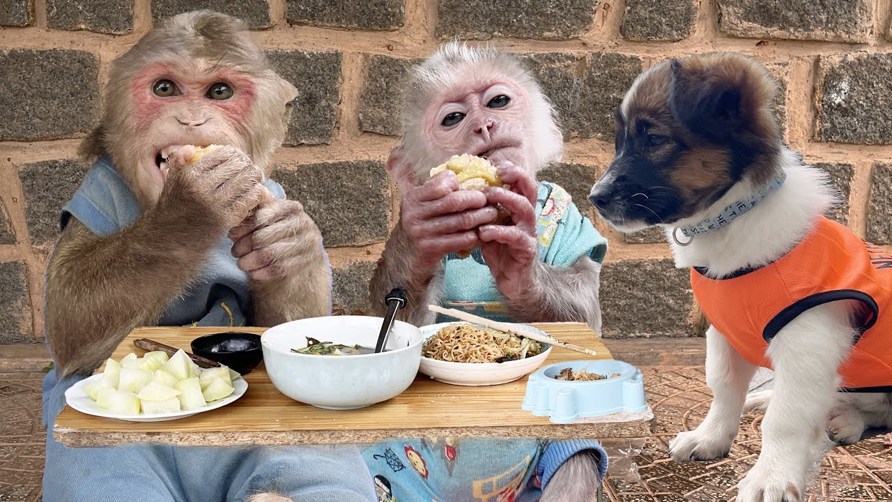 What delicious dishes does Monkey Max's family have on a stormy day