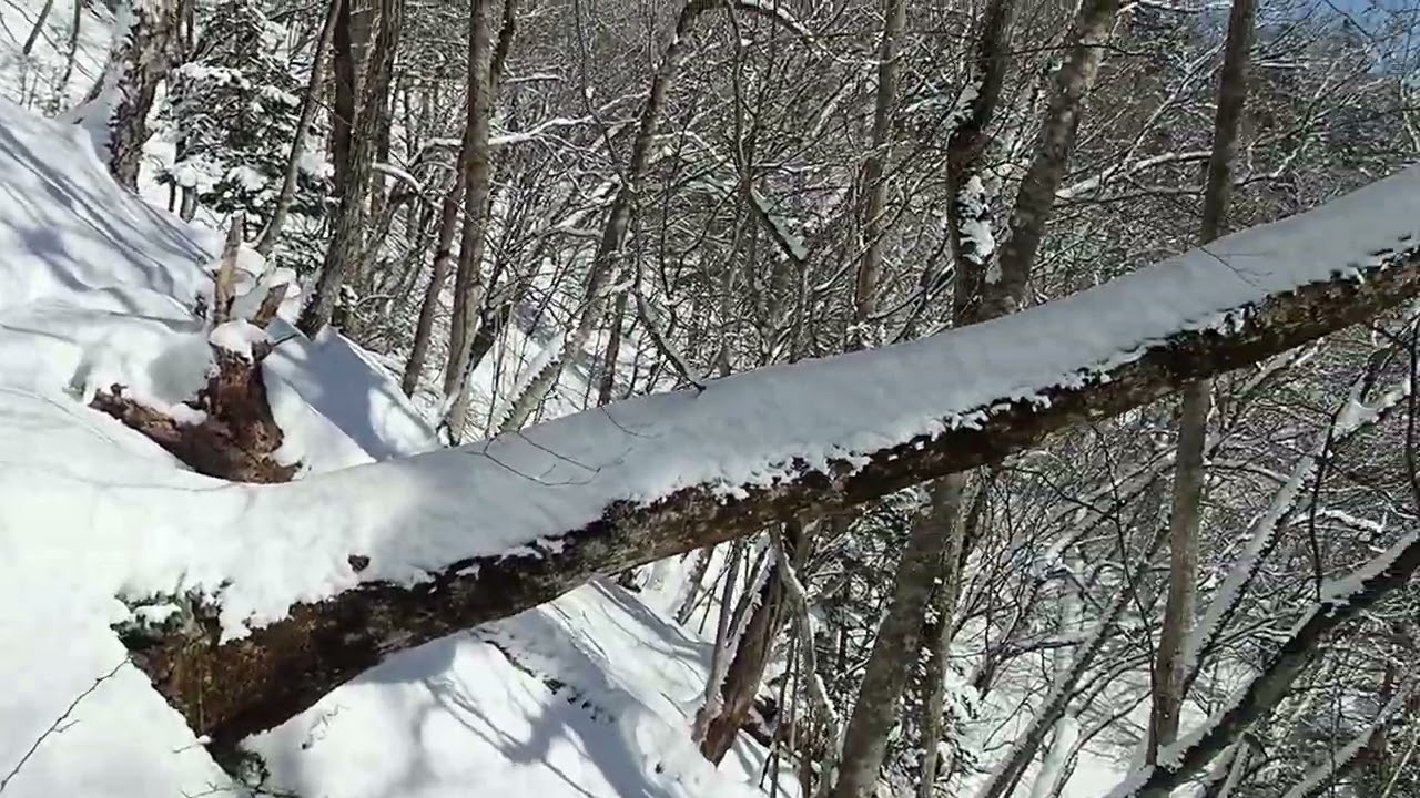 猟場の見立てを失敗した忍び猟