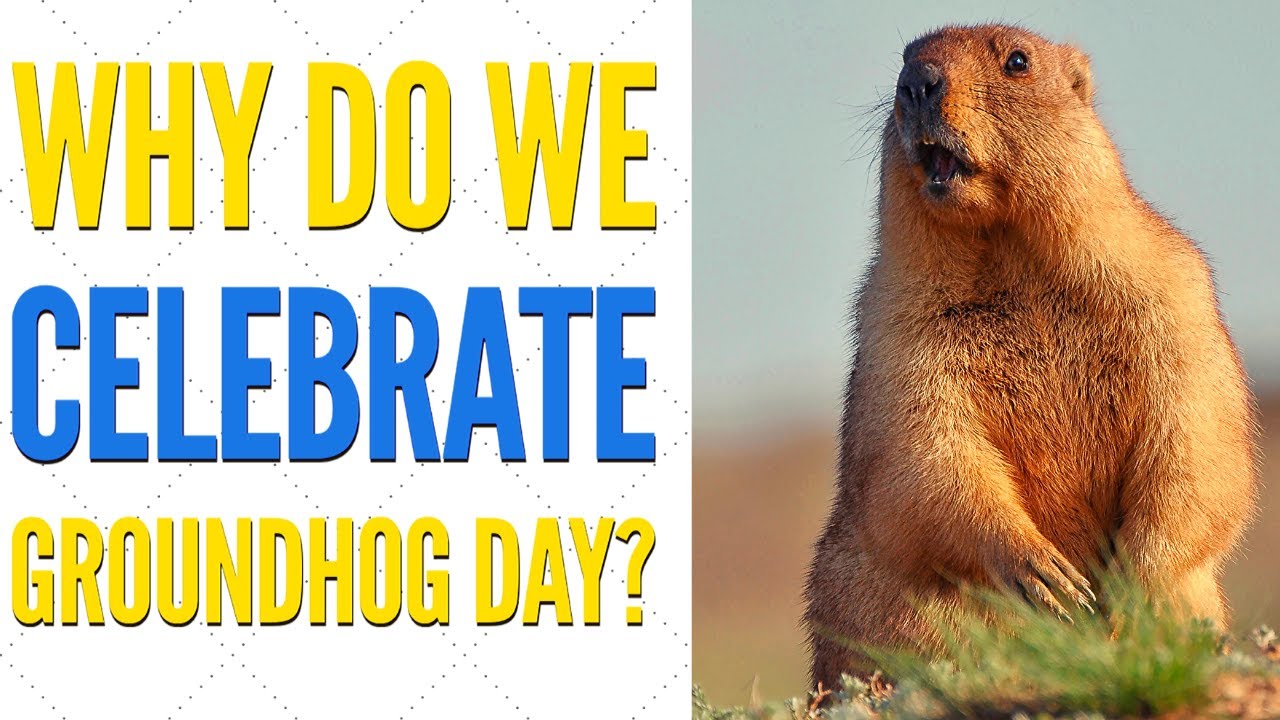 Groundhog Day Facts for Kids | Punxsutawney Phil ???