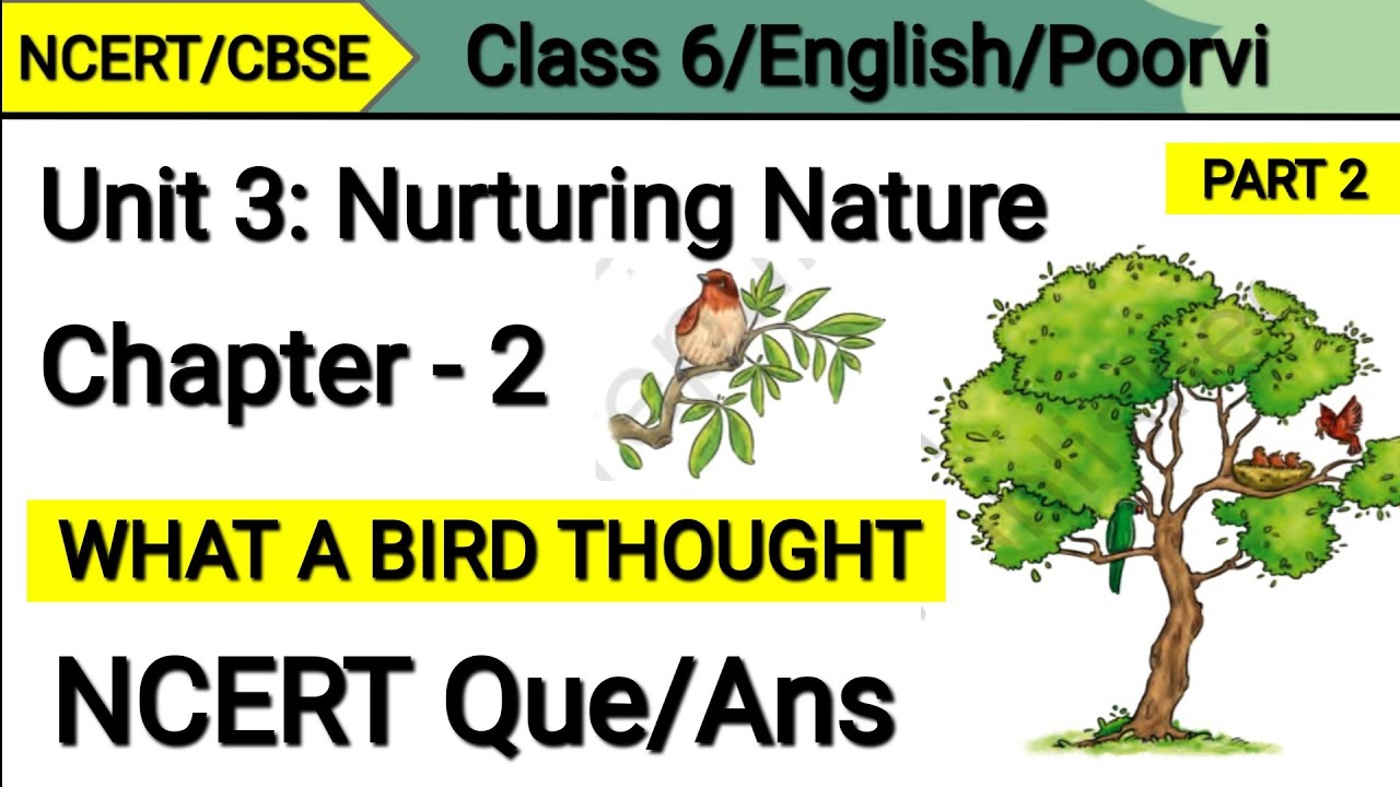 Question Answer What a Bird Thought | Class 6 English | Unit 3 Nurturing Nature | Poorvi