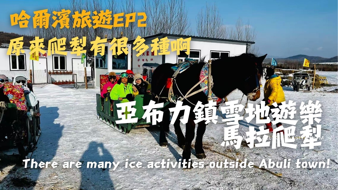 哈爾濱旅遊 EP2，來到亞布力，滑雪時間不夠沒關係，先玩別的，一樣超好玩│馬拉爬犁│冰爬犁│滑冰圈│草根民宿│Harbin trip!