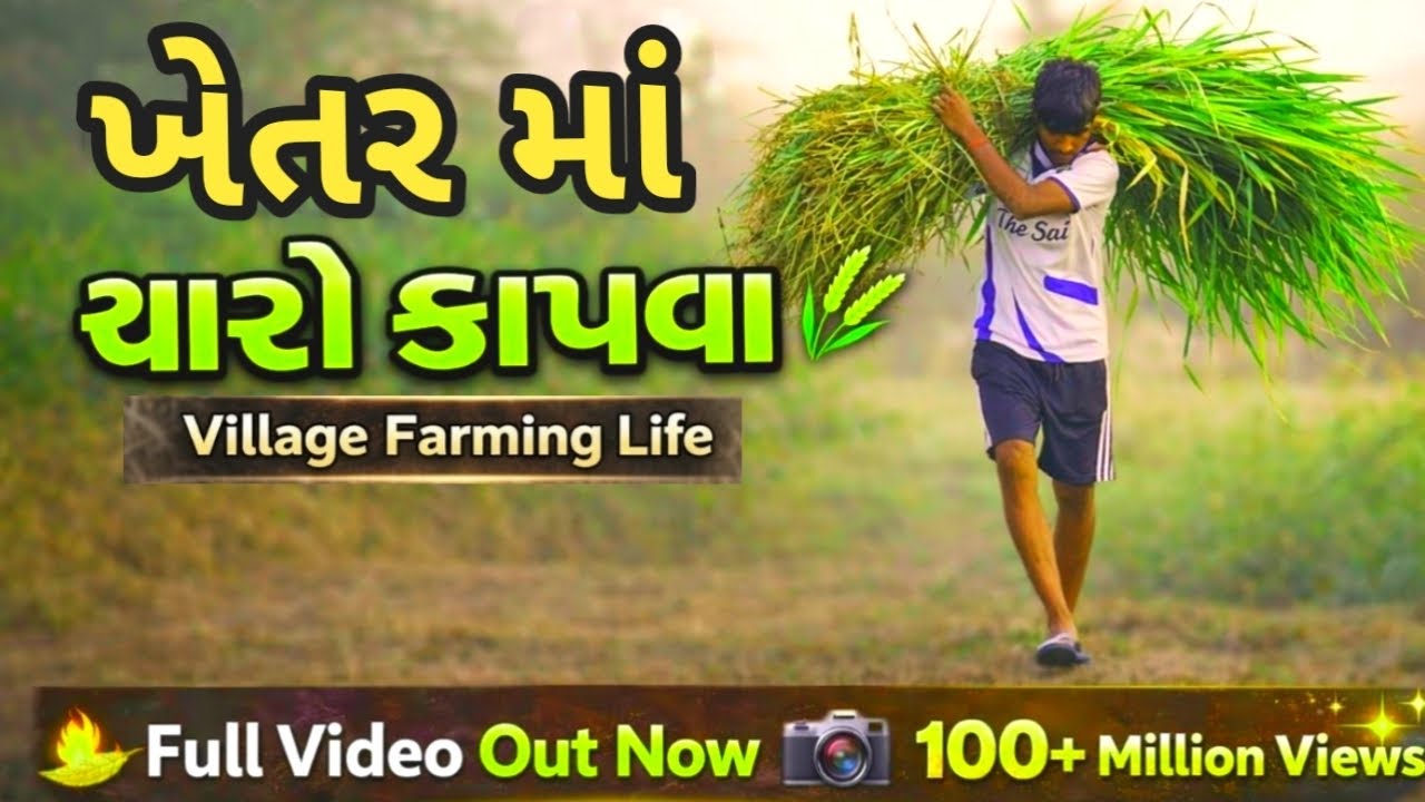 🌾 ખેતરમાં ચારો કાપવા | ગામડાનું જીવન | Village Farming Life 
