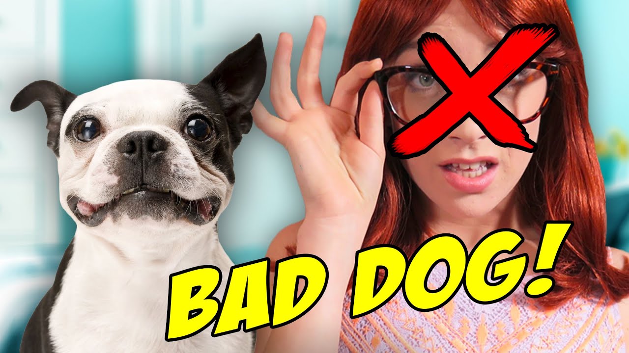 DOGS RUIN RELATIONSHIPS! (BTS)