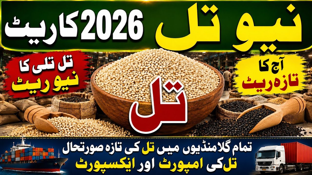 Til Tilli ka Niya Rate 2026|Gallahmandi mein Til Tili ka rate |تل تلی کا نیو ریٹ 2026|کسان دھرتی 