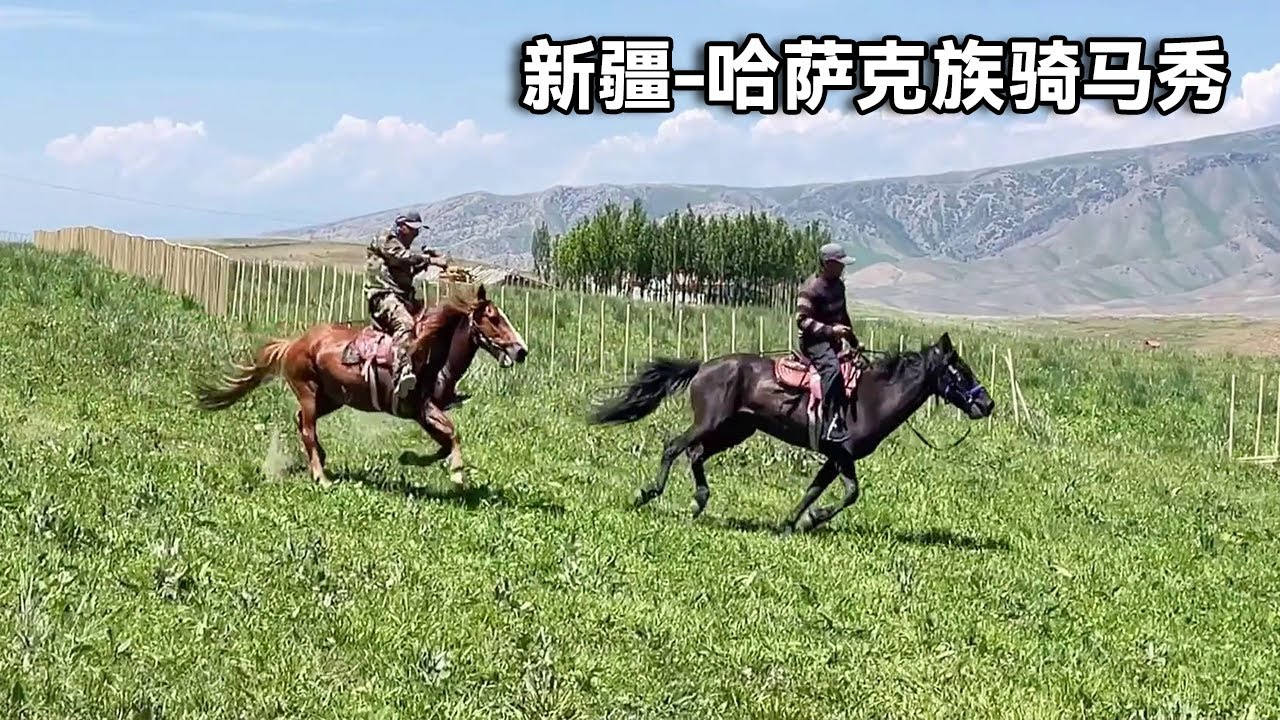 【合集】新疆喀拉峻特色游骑马体验和表演！如天堂美景人间仙境，自由自由舒适的很！【行走世界的北京老刘】