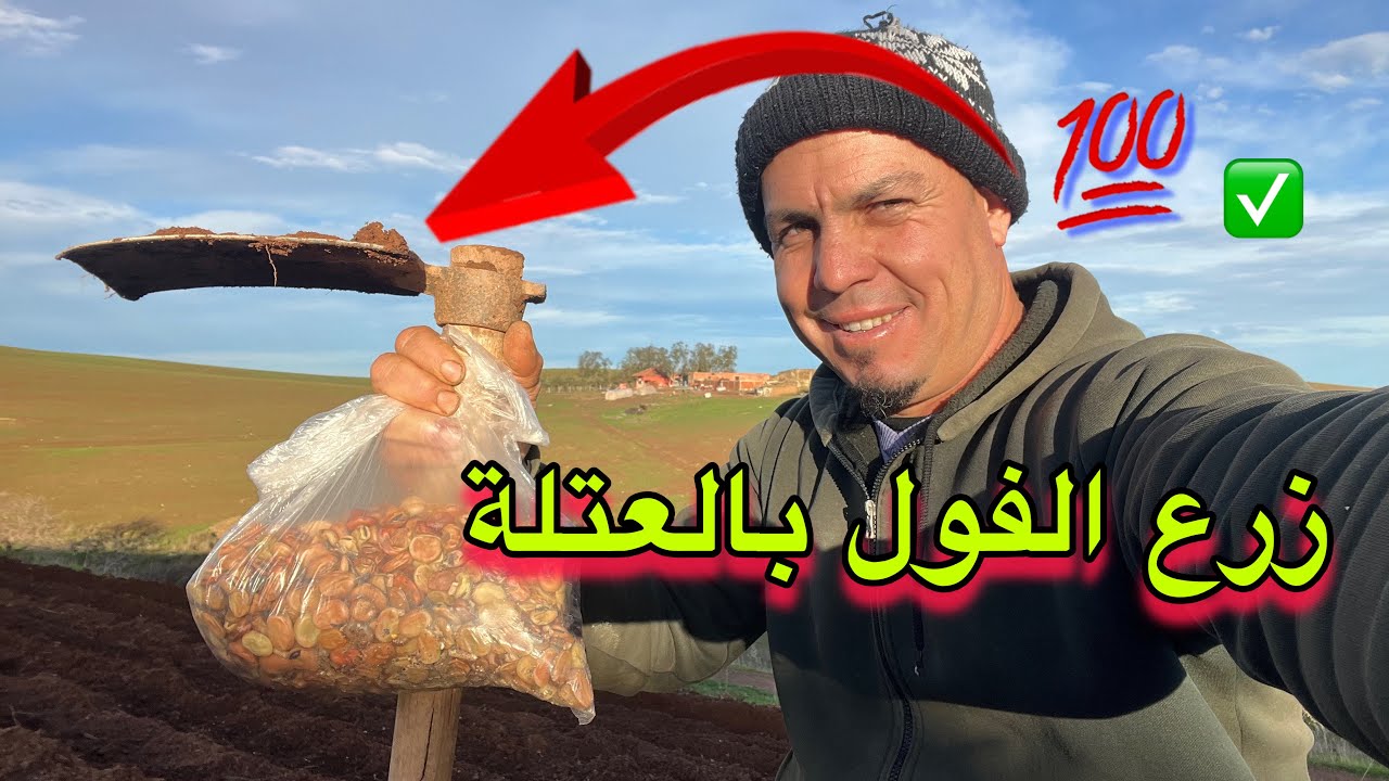 طريقة زرع الفول  بالعتلة بدون تعب لوحدك فقط ✅
