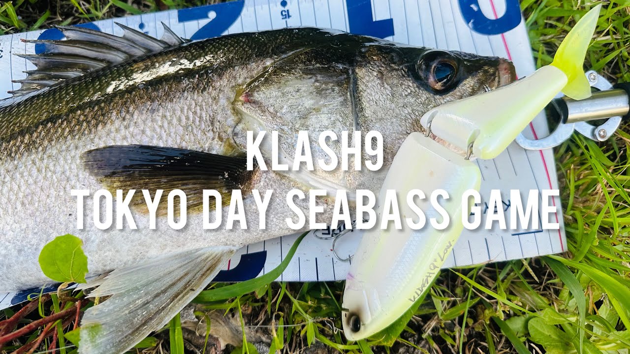 【東京ビッグベイトシーバス】klash9 
