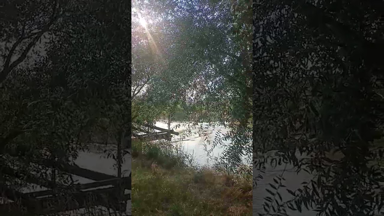 Sakarya nehri kenarı, Osmaneli