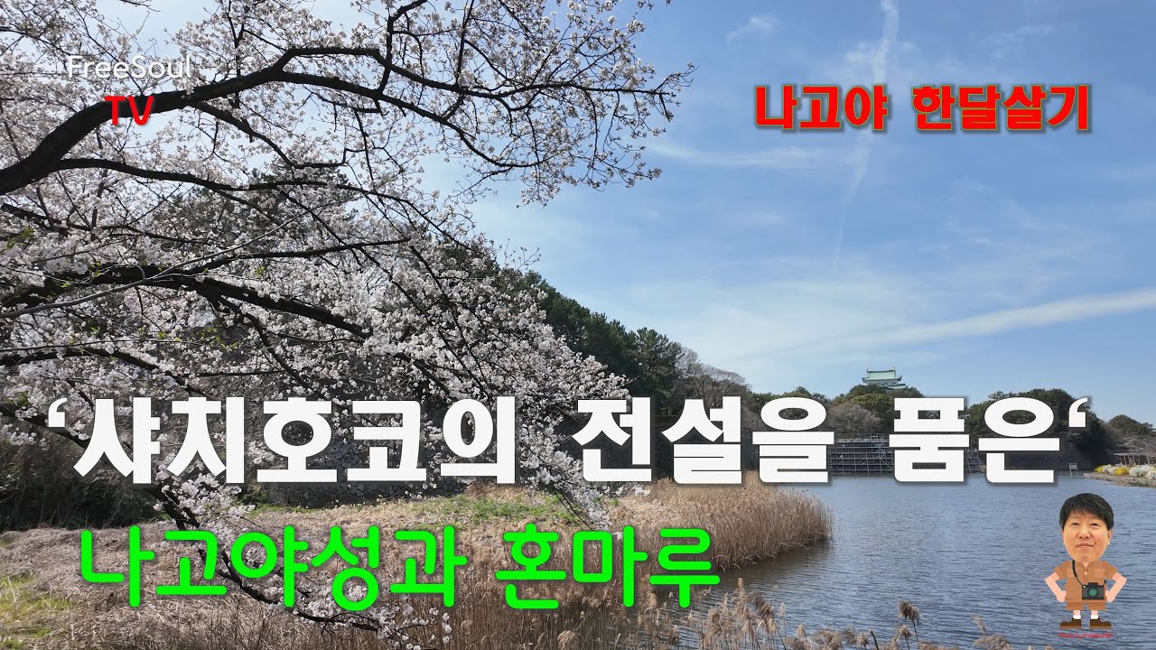 나고야 황금상 샤치호코의 전설을 품은 나고야성, 혼마루 어전의 비밀ㅣ시간이 멈춤 듯한 나고야성의 옛 시간들을 걷다ㅣ일본나고야 여행 1번지 나고야성 l 나고야한달살기