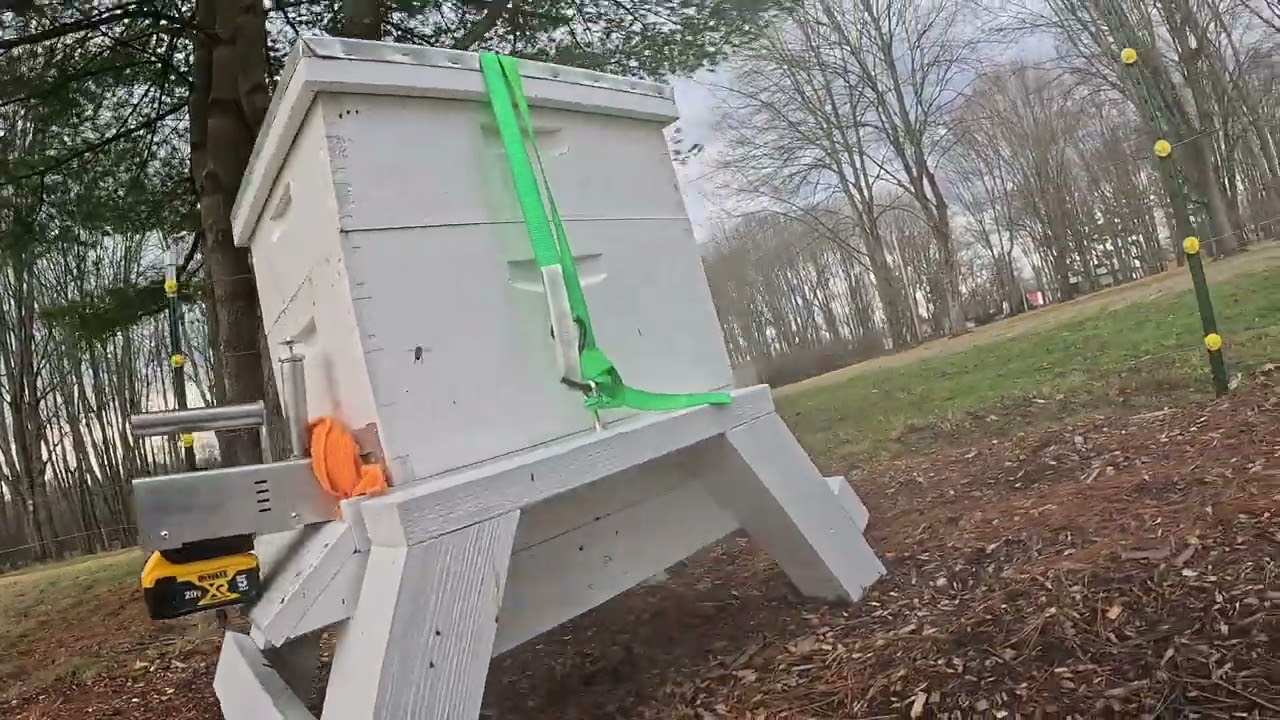  January  OA treatment  and hive check 60°+ out