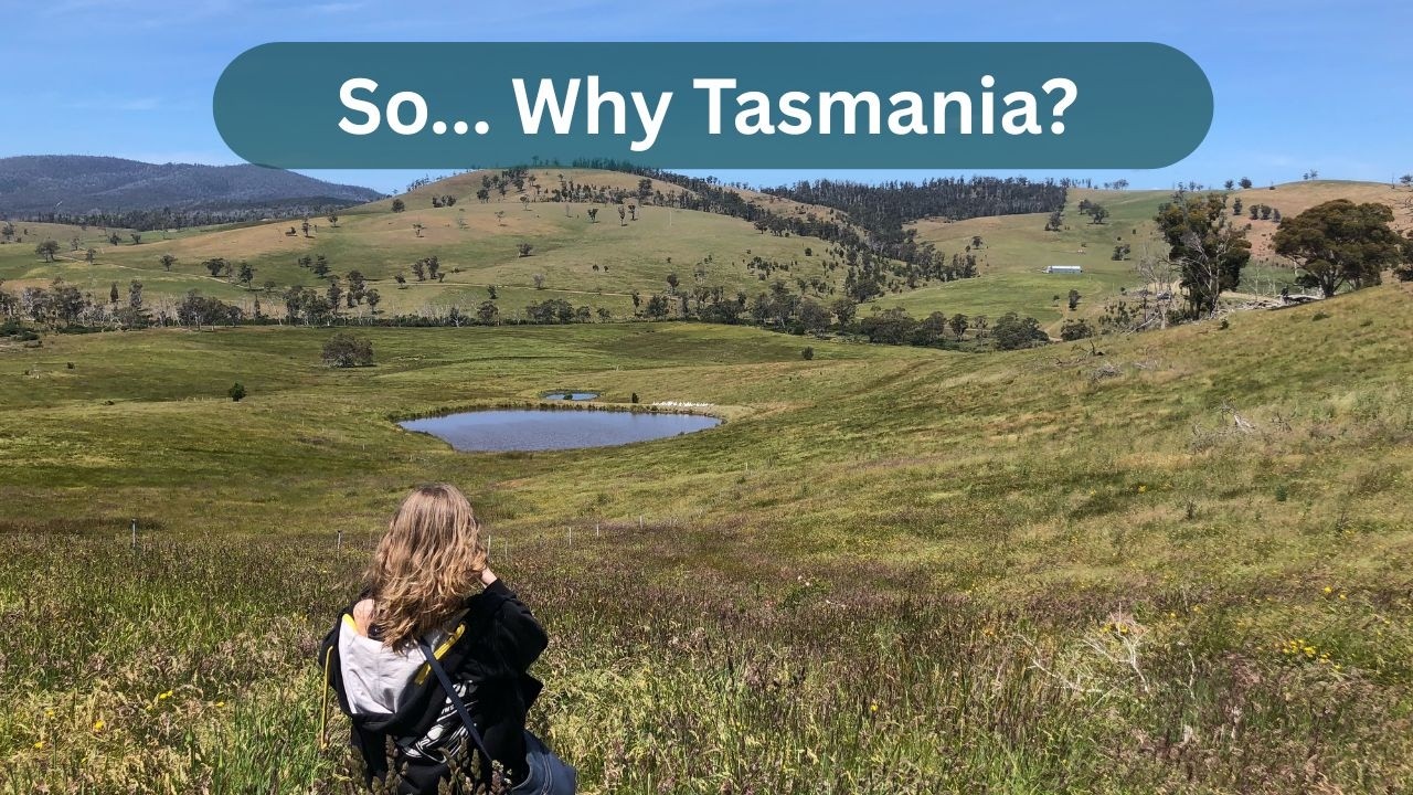 A Compilation of Every Tassie Holiday & Why We Fell in Love With This Magical State