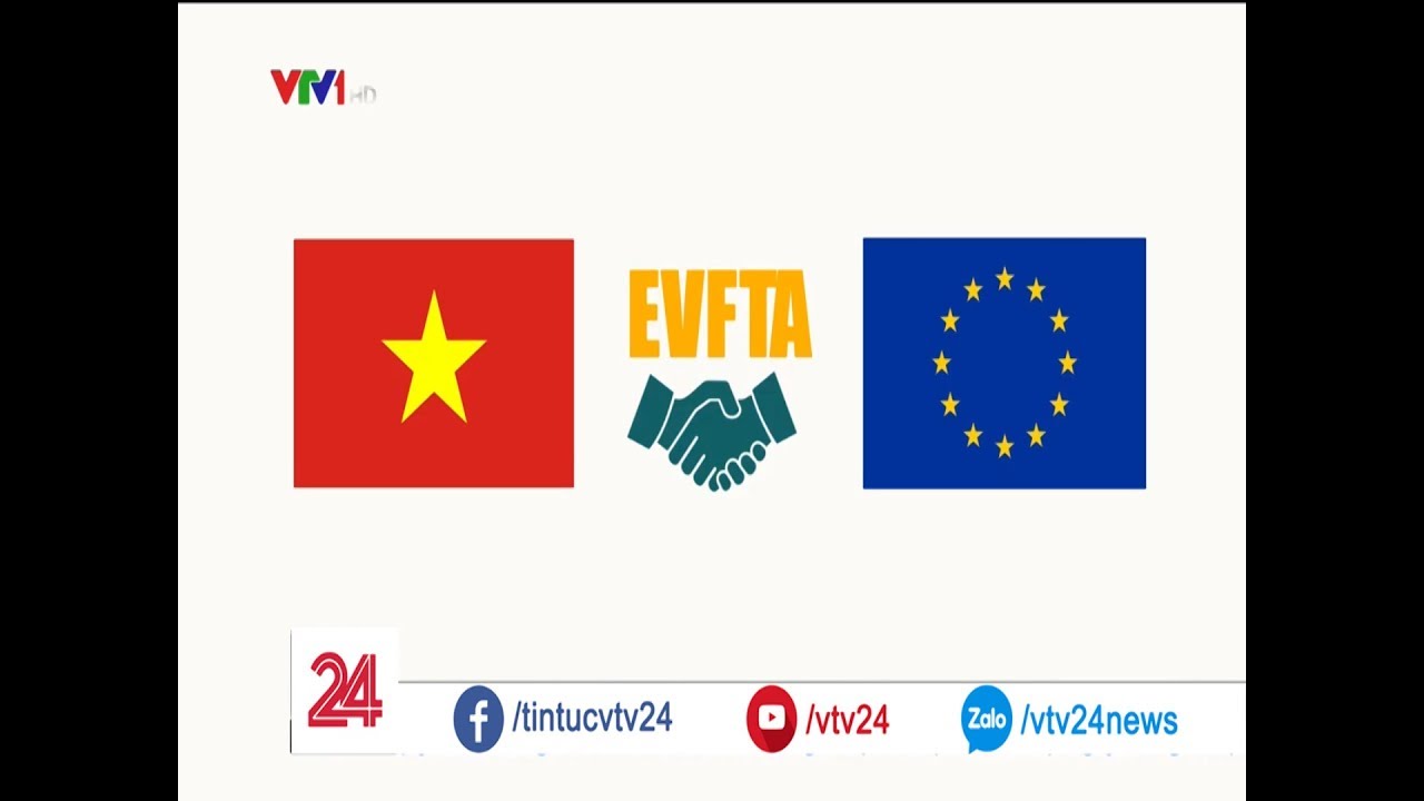 86,5% dòng thuế áp lên hàng Việt Nam sẽ được xóa bỏ nhờ EVFTA| VTV24