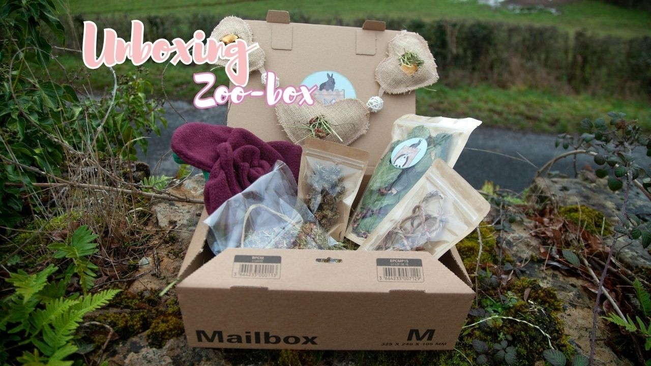 Unboxing zoo-box de la Saint Valentin avec mes lapins et mon cochon d'inde