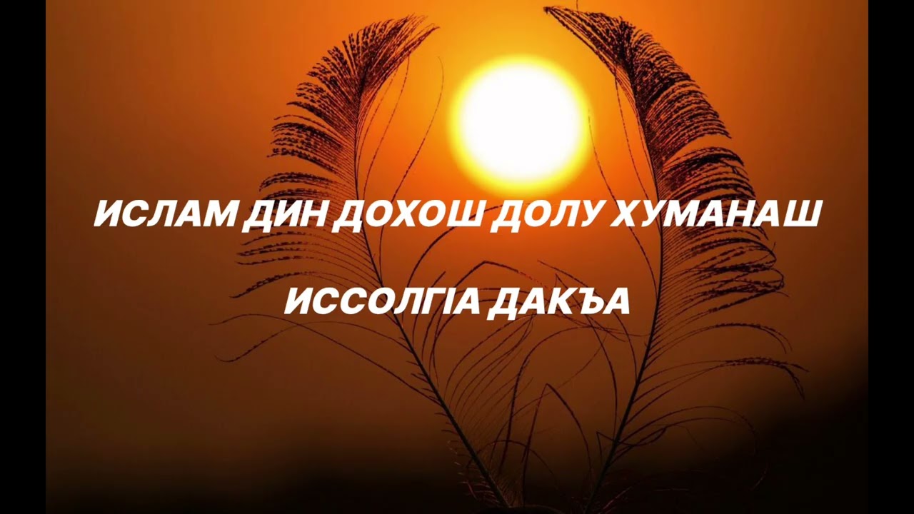 Шейх lели | Ислам дин дохош долу хуманаш Иссолгlа дакъа.