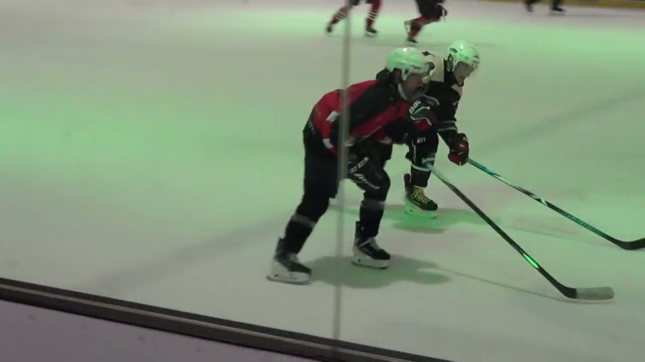 Windsor and Slough Knights v Surrey Lions - 10/01/2026 (Third Period).