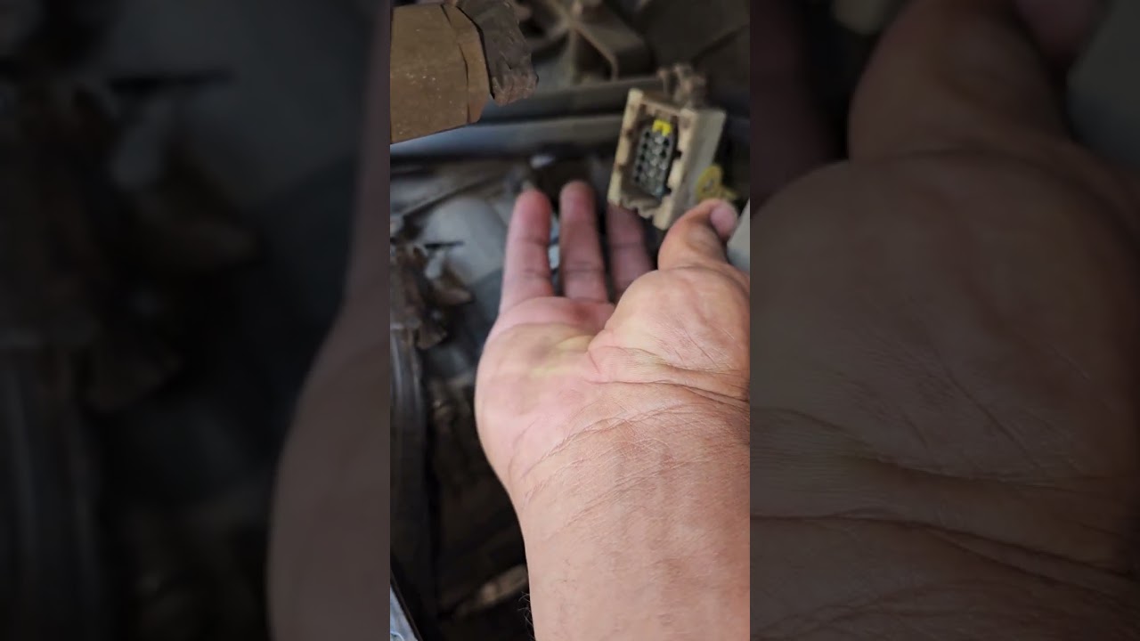 Axor 2536 M&oacute;dulo do C&acirc;mbio