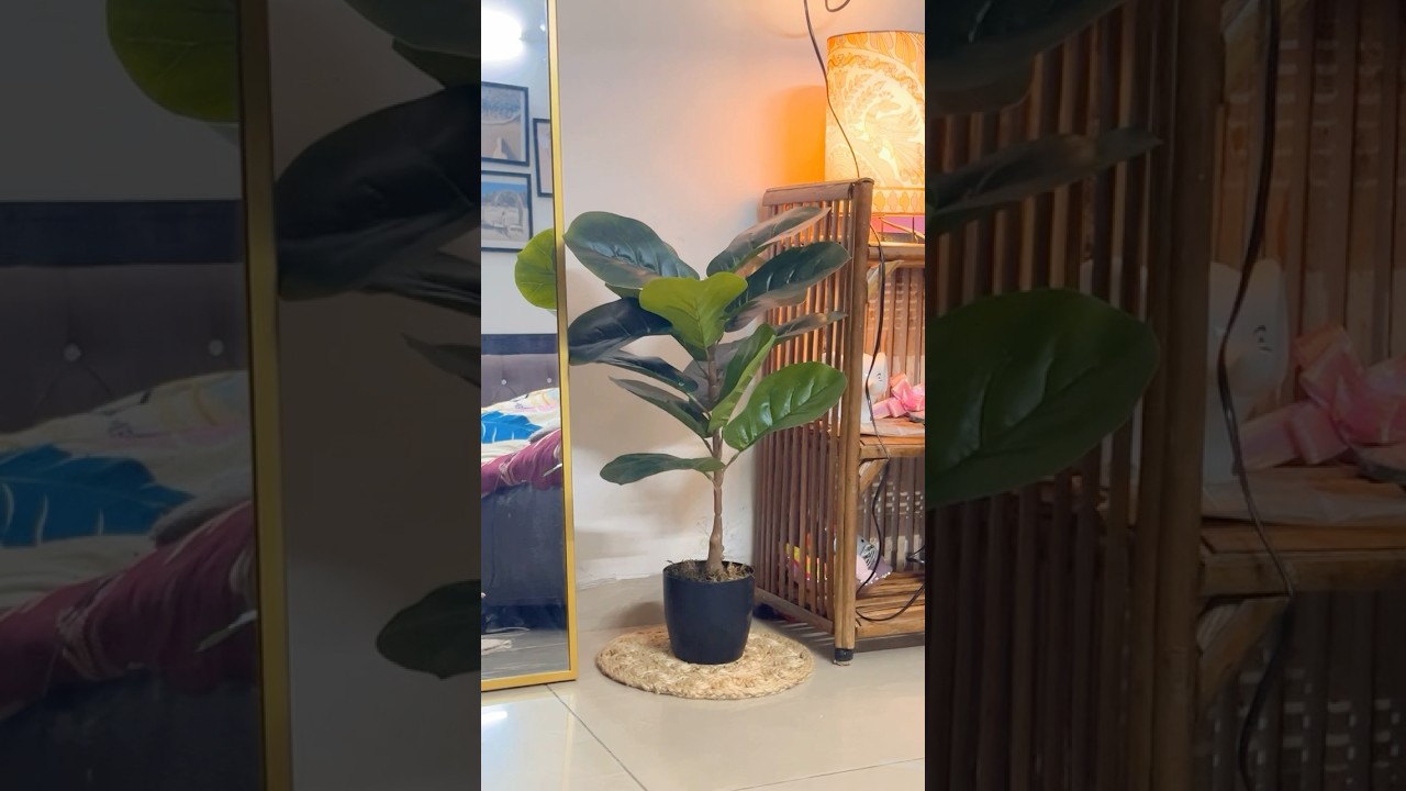 Artificial plant from Meesho ✨#meeshofinds #meesho #artificialplants #homedecor #shorts