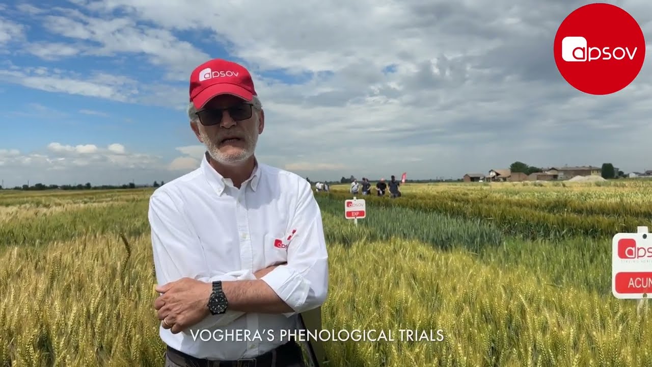 🌾Voghera's phenological trials 🌾