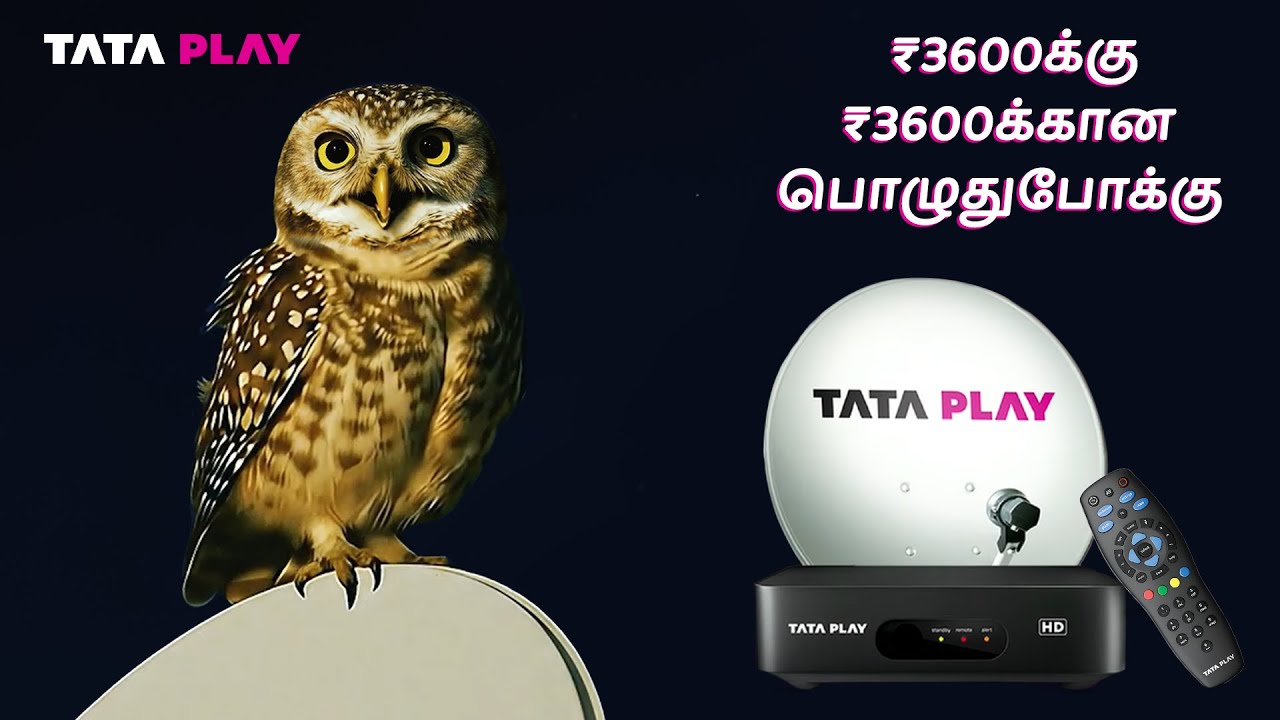 Tata Play தமாகா சலுகை ₹3600 டெபாசிட் செய்து அற்புதமான ஆஃபர் பெறுங்கள்!