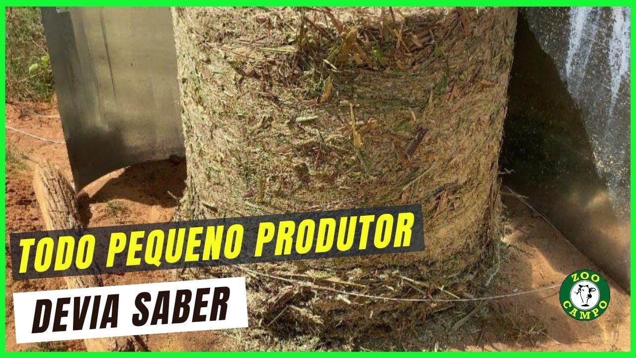 Jeito de fazer silagem para quem tem pouco gado.