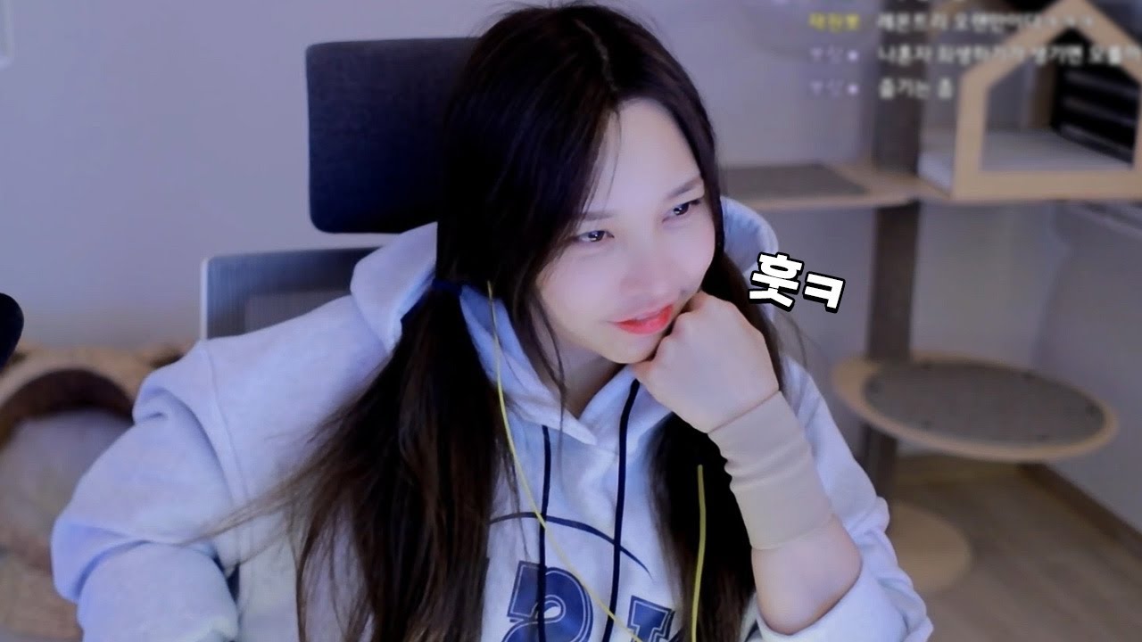 배그 삭제이유 = 걸뽀