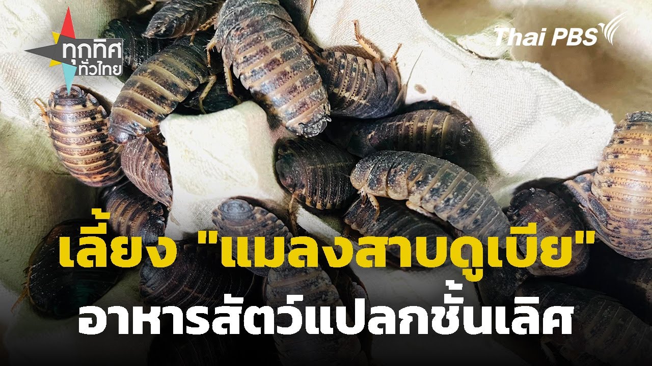 เลี้ยง 