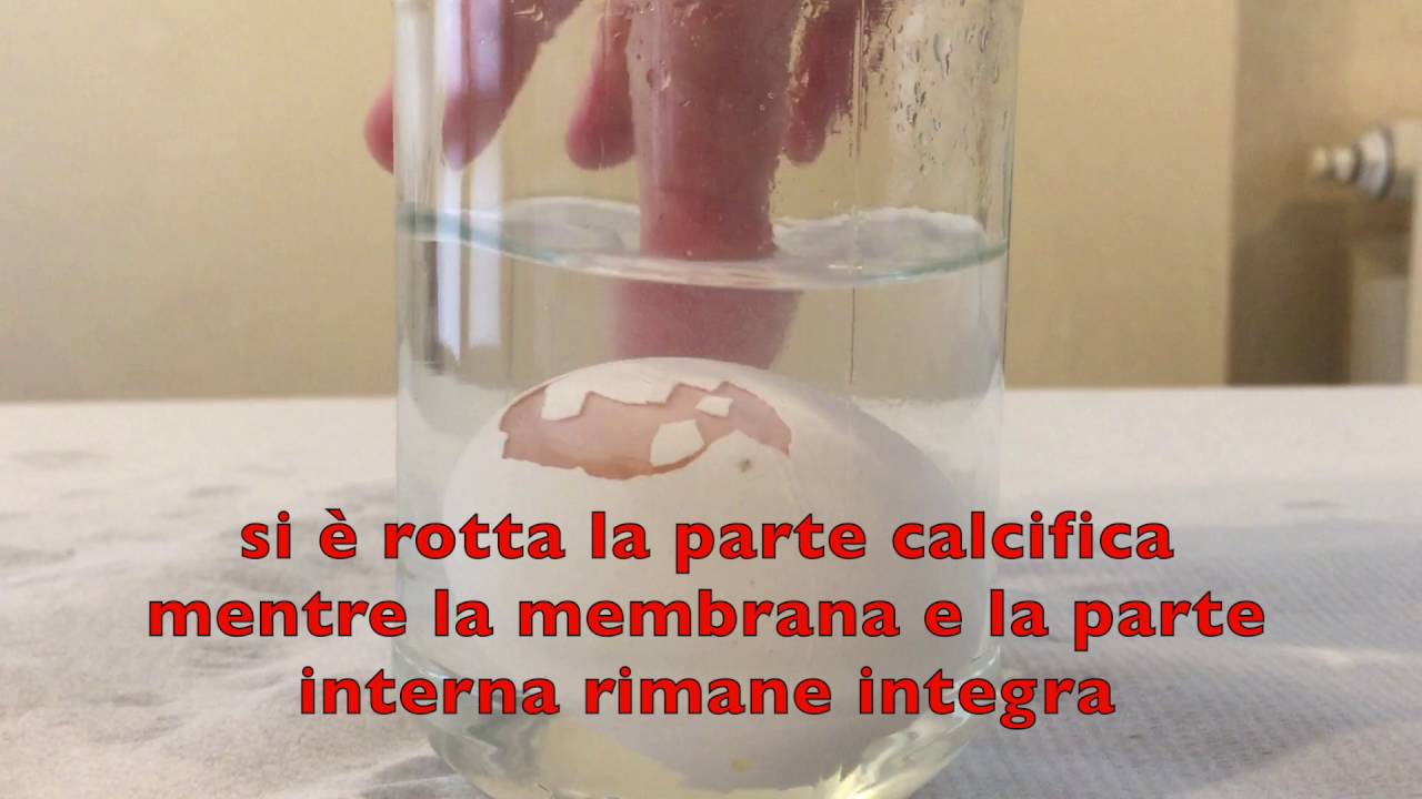 Onde d'urto e calcificazioni