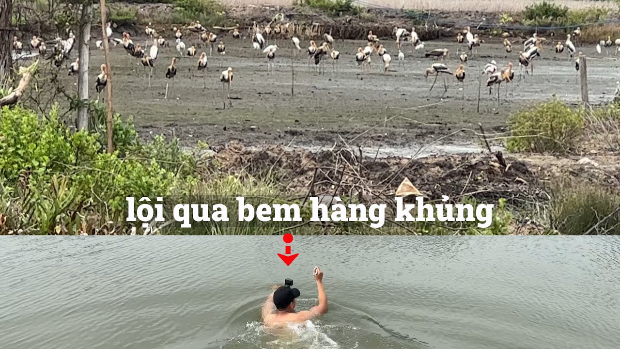 Truy lùng hàng khủng cùng thun Vua Hải Tặc || Đảm Nguyễn