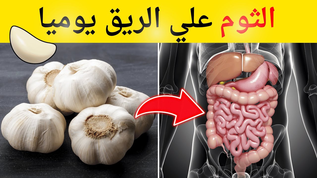 فوائد الثوم على الريق - تناوله بهذه الطريقة وستنصدم بالنتائج خلال أيام