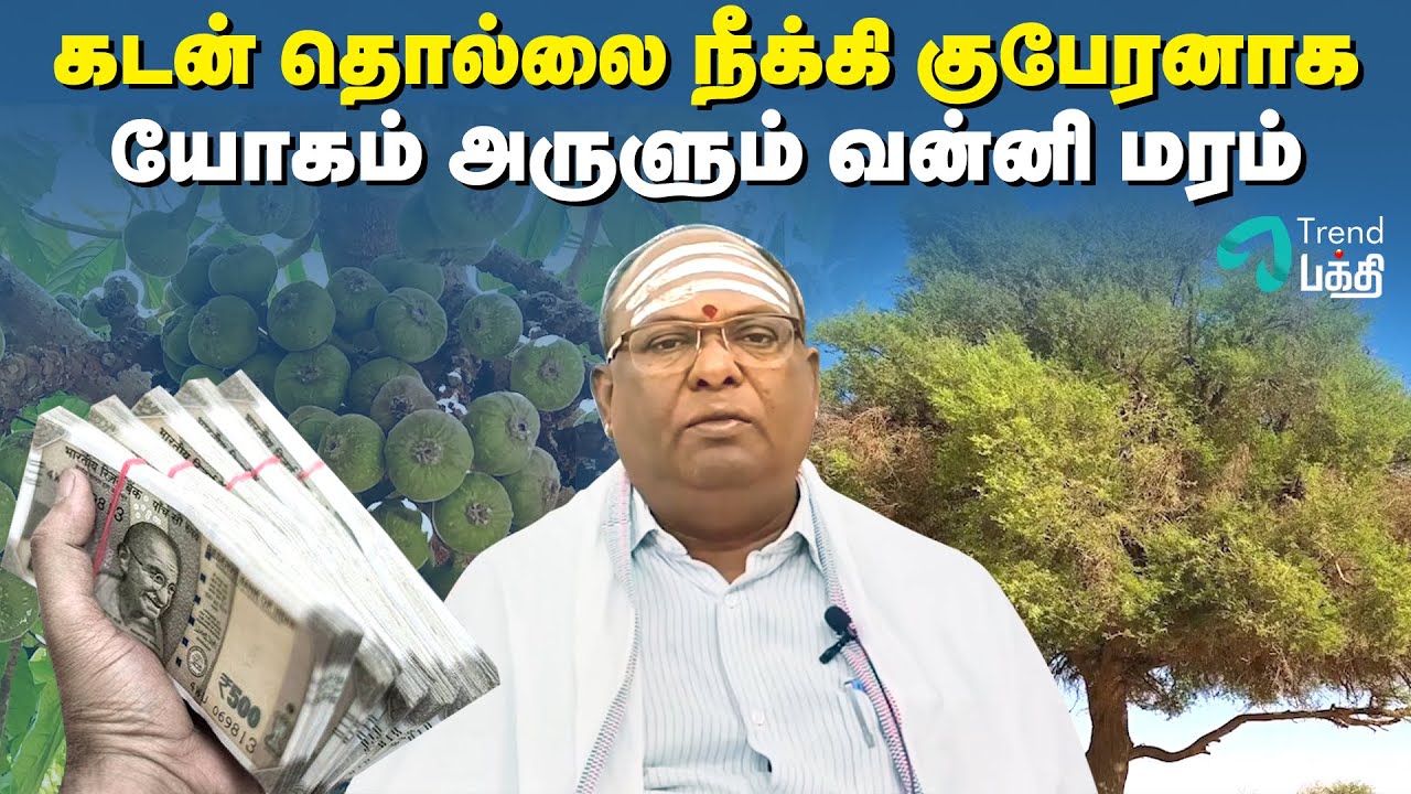 வன்னி மரத்தில் இவ்வளவு நன்மைகளா!!! | கேட்ட வரத்தை தரும் வன்னி மரம் | Vanni Maram | Trend Bakthi