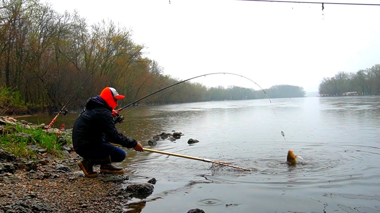 PESCANDO Carpas con Equipo Ultra Ligero , Masa Nueva para Pescar CARPAS , Pesca en Río