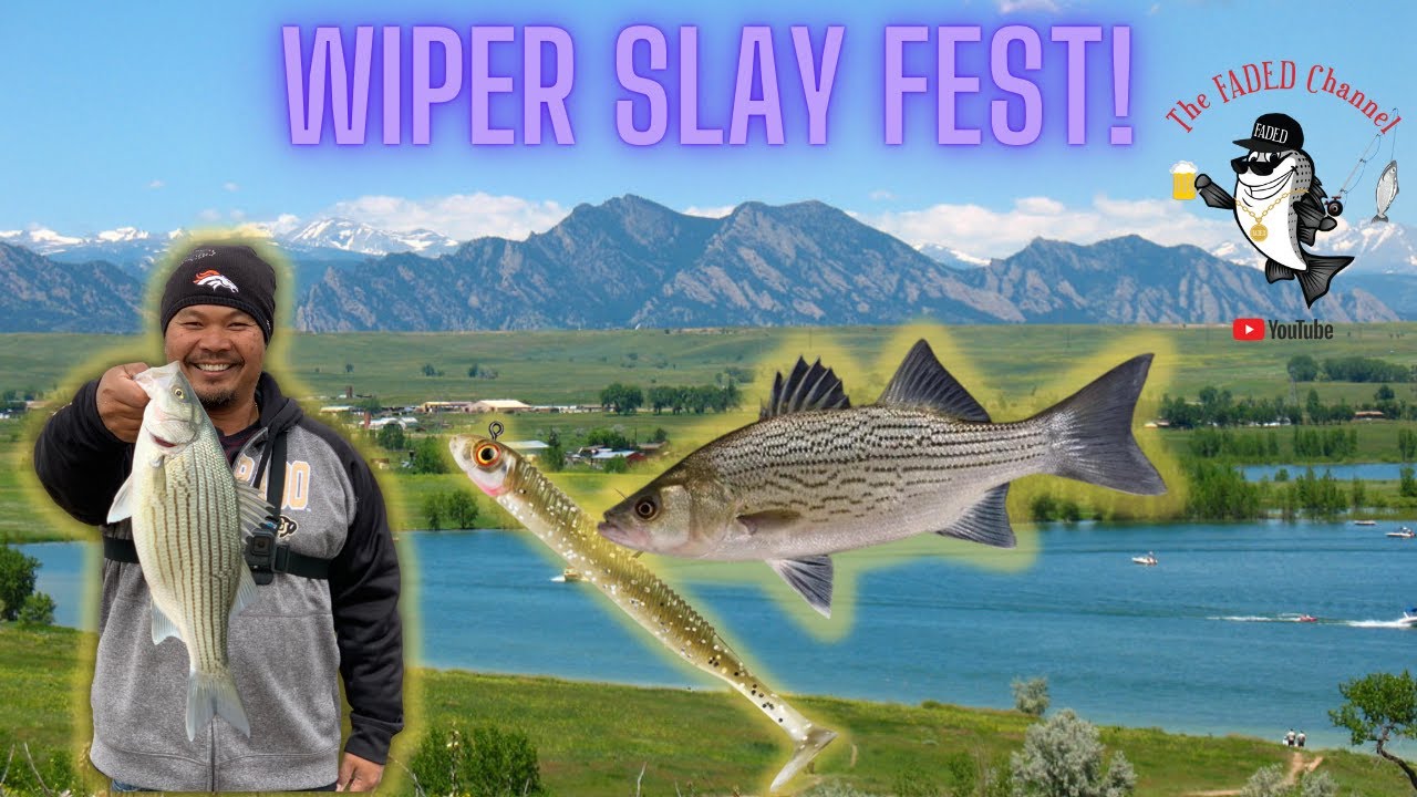 Catching and cooking fish from a #radioactive lake! #wipers