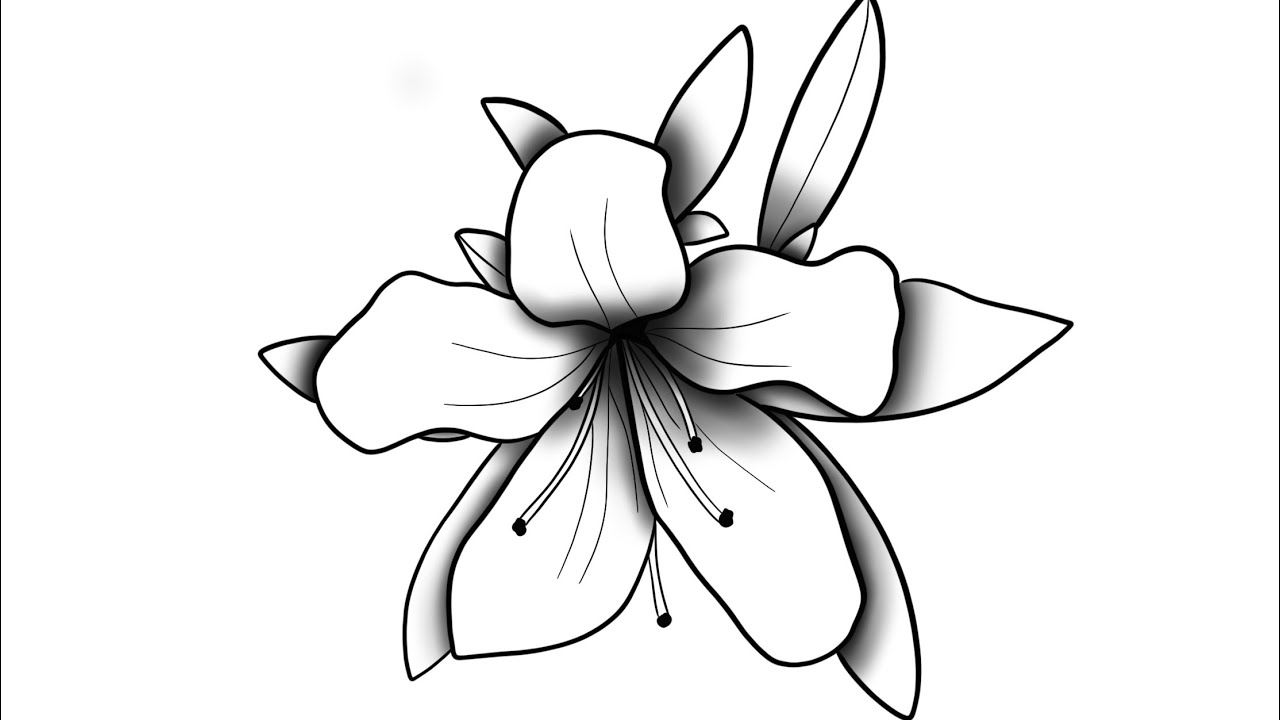 iPad Procreate Black & White Stencil Flower Drawing With Shading